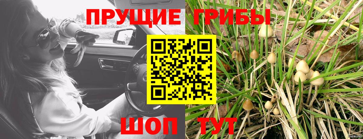 Псилоцибиновые грибы ЛСД  Вход с VPN  Донецк 